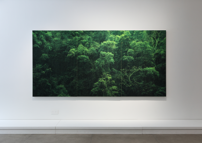 Timeless Expressions: Korean Art
